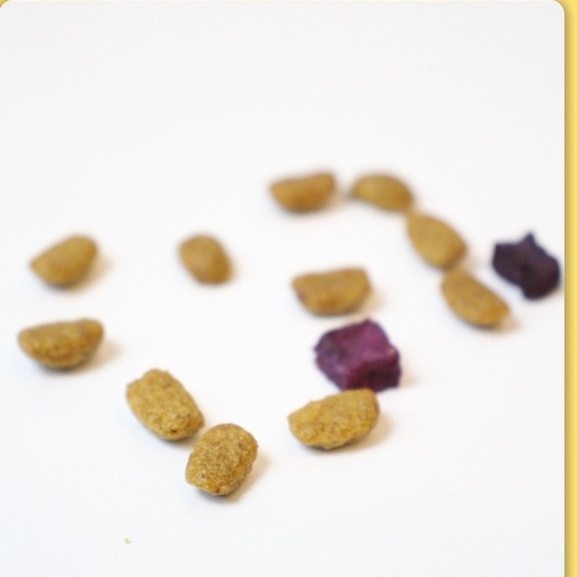 Thức ăn cho chó MASTI dạng hạt bổ sung rau củ thịt cá trứng giàu dưỡng chất thích hợp nhiều loại Chó rất dễ ăn CANDYPETS