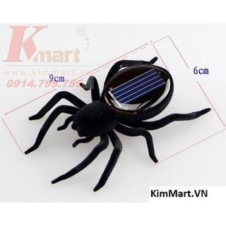 Nhện năng lượng mặt trời