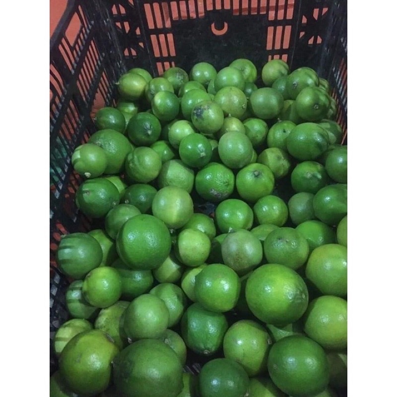 chanh tươi (500g)
