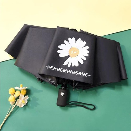 DÙ ĐI MƯA HÌNH HOA CÚC - 1 CHIỀU - MÀU NGẪU NHIÊN