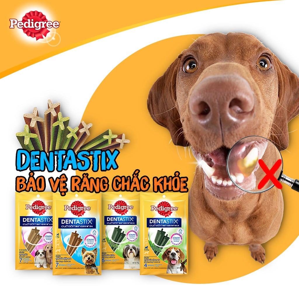 Bánh xương gặm cho chó lớn Pedigree Dentastix 75g 98g, snack sạch răng vị gà Con Mèo Xiêm