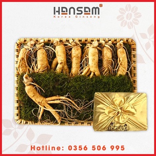Nhân sâm tươi hàn quốc củ lớn 310k/củ loại 8-10 củ/kg.