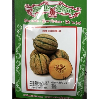 Hạt giống dưa lưới Melo 10H