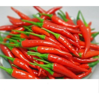 Hạt Giống Ớt Chỉ Thiên Siêu Cay 1gr