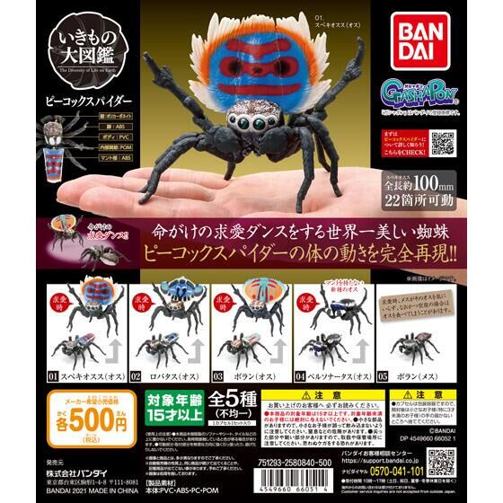 MÔ HÌNH TRỨNG GASHAPON Peacock spider