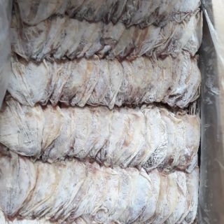 [500g] Mực khô Vân Đồn sz mini 100-120con/kg