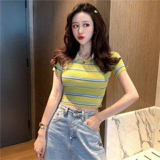 Áo len ngắn tay cổ sơmi hàng quảng châu