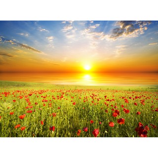 Tranh dán tường Ánh mặt trời đón ánh nắng ban mai, tranh dán tường 3d hiện đại (tích hợp sẵn keo)