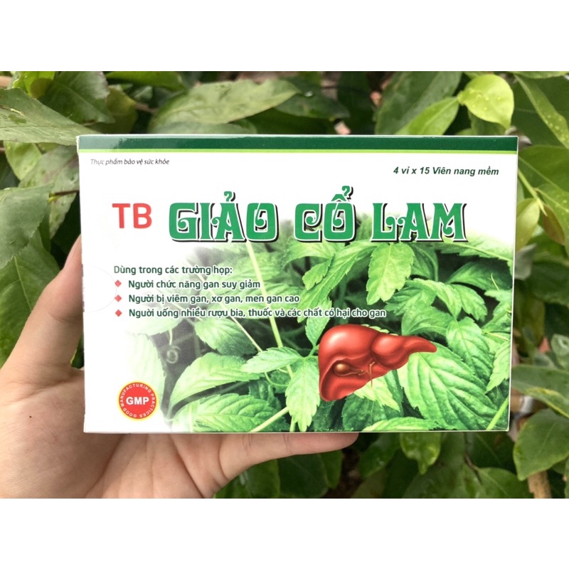 TB Giảo Cổ Lam hỗ trợ giải độc, bv, tăng cường chức năng gan, hạn chế tác hại của rượu bia, thuốc, các chất ah đến gan