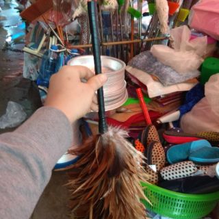 Chổi lông gà