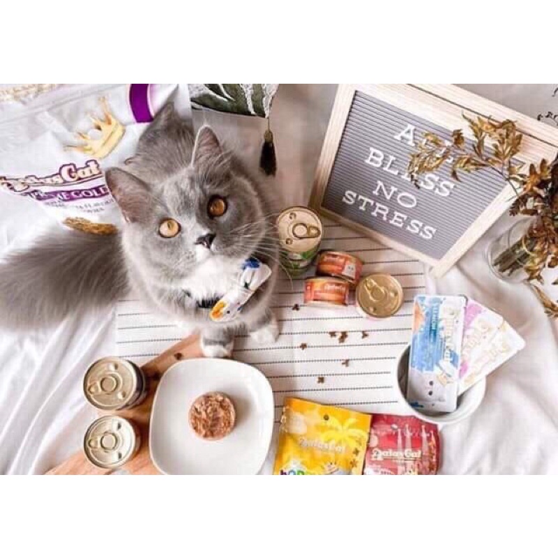 SỐT KEM THƯỞNG CHO MÈO - AATAS CAT CREAM  _ DATE 21/12/2023