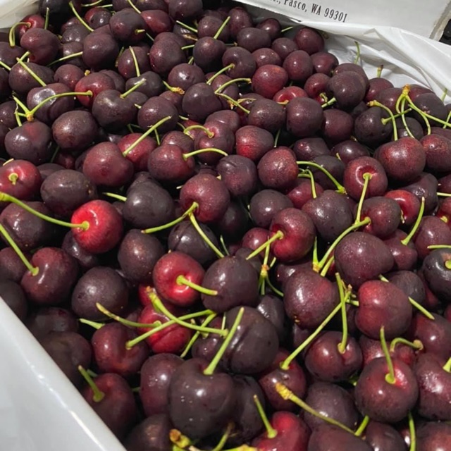 Cherry Mỹ nhập khẩu size 9.5