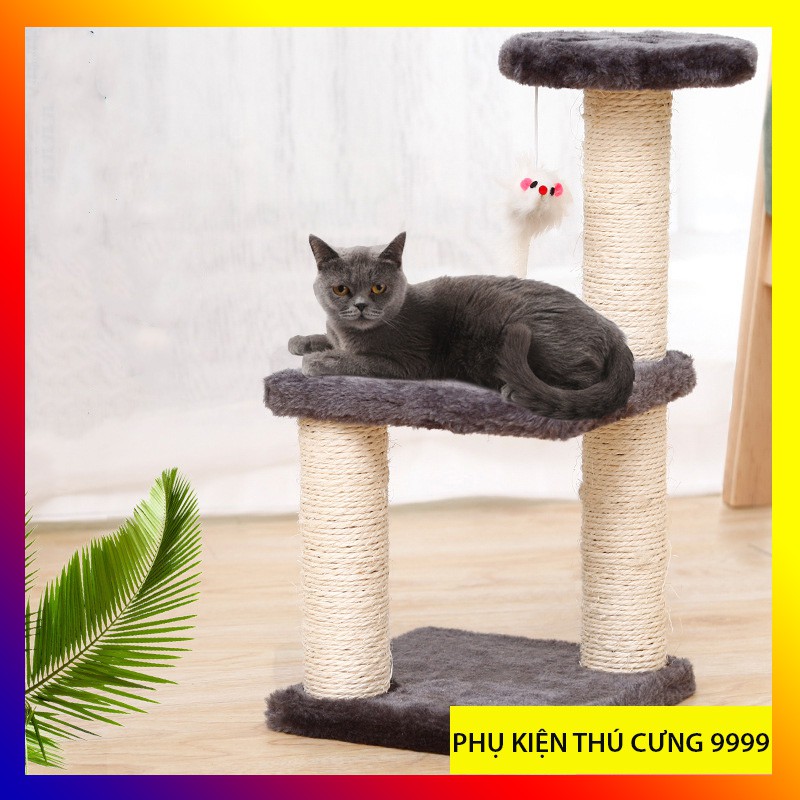 Cây cào móng 3 tầng cho mèo - Cat Tree