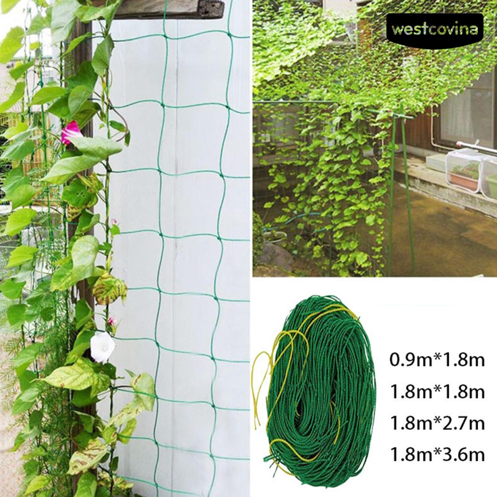 Lưới cho cây dây leo tiện dụng và bền