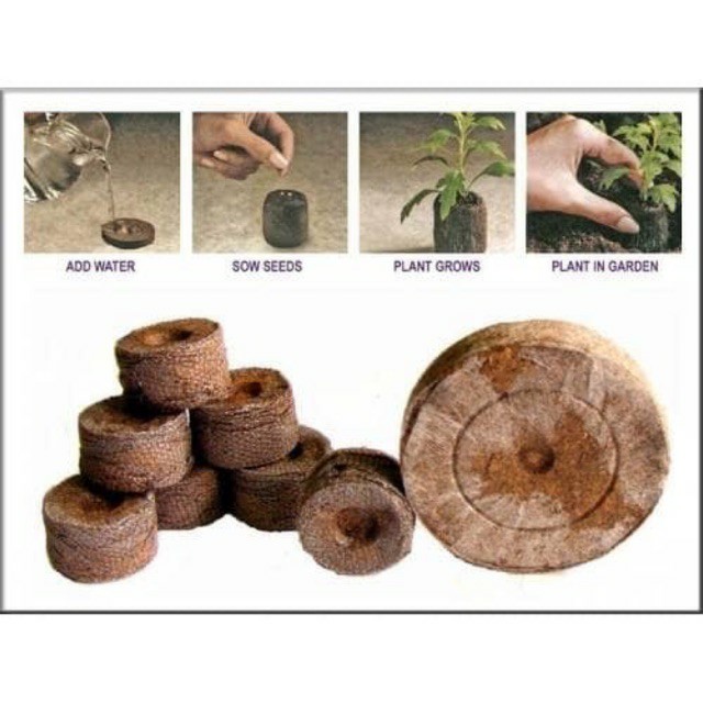 Combo 20 viên nén xơ dừa