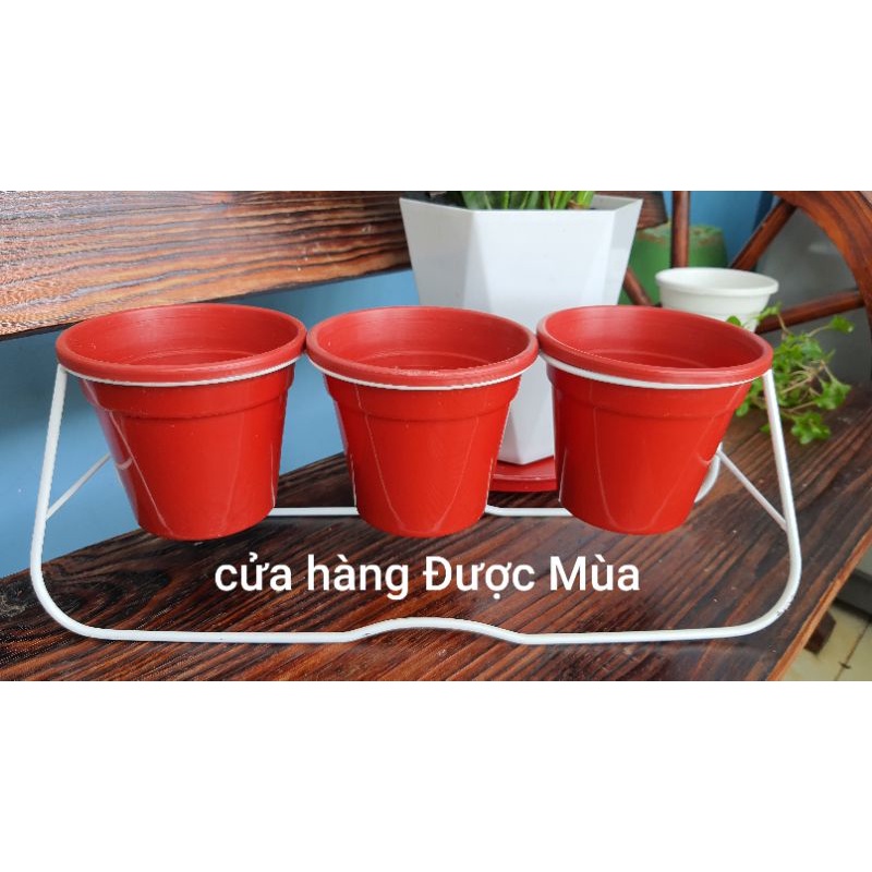 bộ khung + 3 chậu trồng cây trang trí.