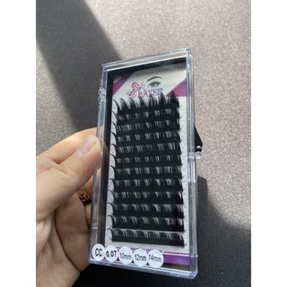 Mi hoa hồng đen layer siêu mềm mi sole