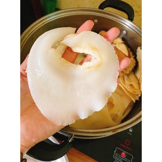 Vi cá khô (Vi cá mập  lớn 100g) 3-4vi