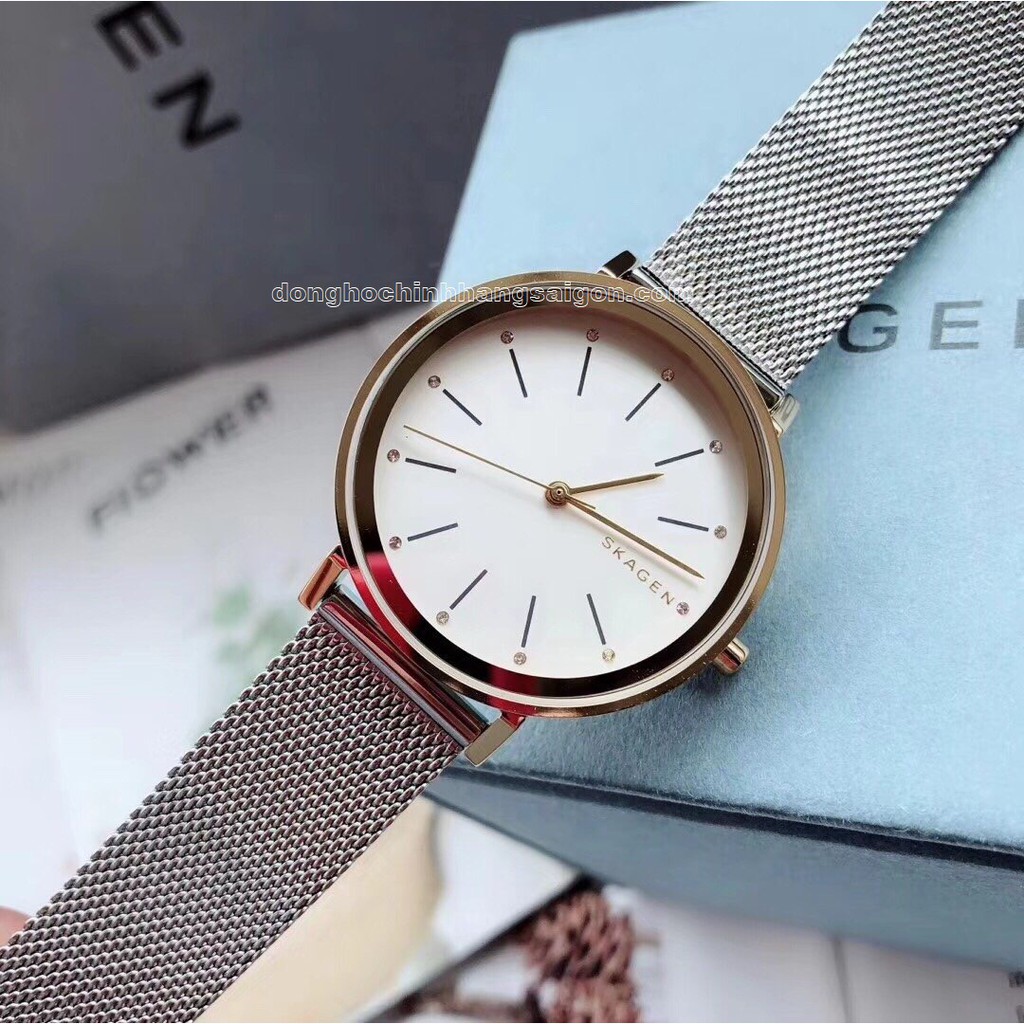 Đồng Hồ Nữ Skagen SKW2508 34mm