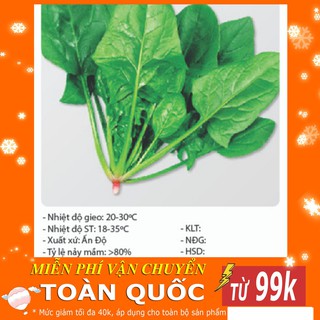 [TOP] Hạt Giống Cải Bó Xôi Chịu Nhiệt [ Tặng Kèm 1 Viên Nén Xơ Dừa ]