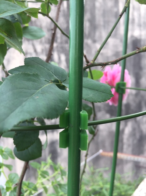 Khung đỡ trồng hoa hồng dây leo 75cm/90cm