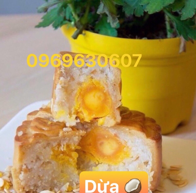 [SG sẵn ] Bánh trung thu cổ truyền ( 200gram 2 trứng muối)