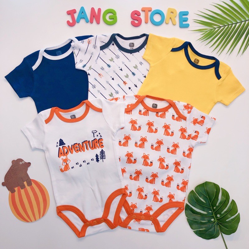 Set 5 bộ Body chip Cáo cam