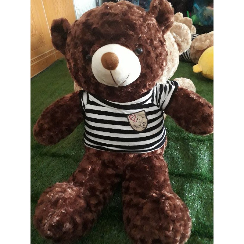 Gấu Bông Teddy Dễ Thương Khổ Vải 60cm cao 40cm