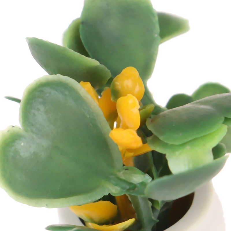 Bộ 2 Mô Hình Chậu Xanh Mini Tỉ Lệ 1: 12 Trang Trí Nhà Búp Bê