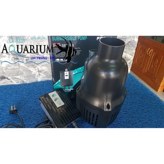 Máy bơm hồ Koi Periha PG 25