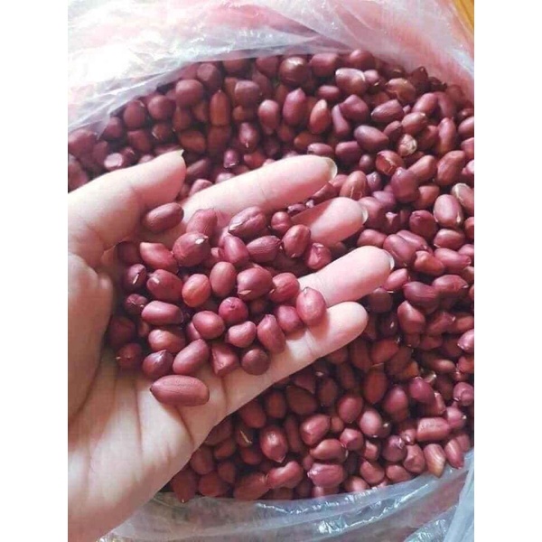 1Kg Lạc đỏ quê, hàng khô, sạch sẽ, đều củ- chất lượng