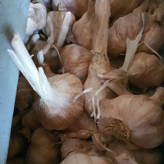 hành khô tỏi khô