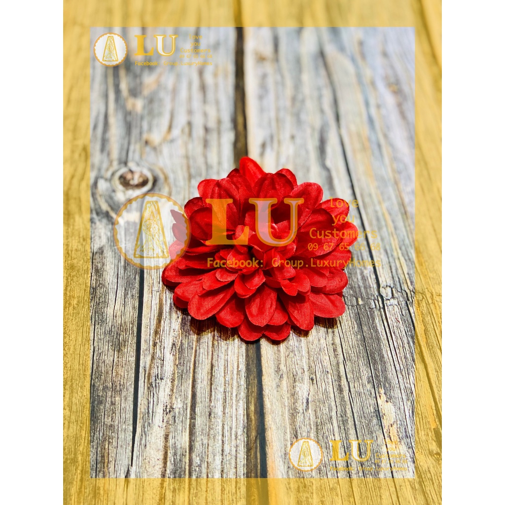 Đầu hoa Thược dược nhỡ | LU