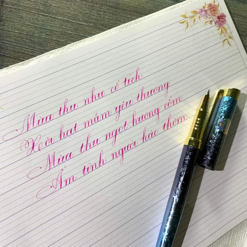 Bút máy Hoàng Ngọc T09 ⚡ Bút luyện chữ ⚡ Bút ngòi lá tre 101 không rỉ, bút luyện calligraphy nét thanh nét đậm