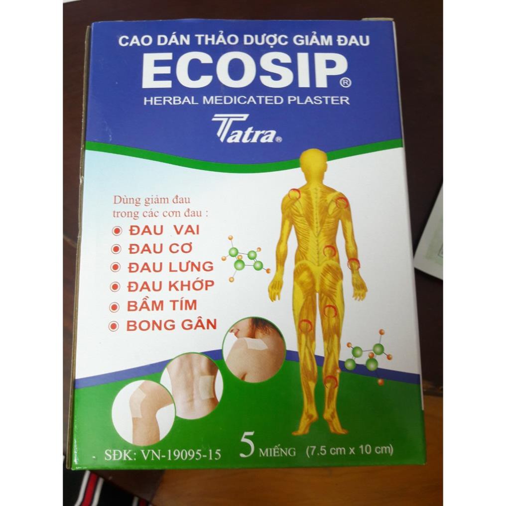 Cao Dán Thảo Dược Giảm Đau Ecosip Hộp 20 Miếng