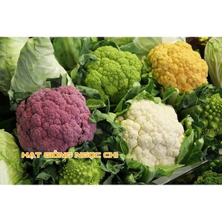 Hạt Giống Rau Súp Lơ Mix - 20 Hạt