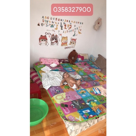 Decal dán tường mẫu Mèo Cute