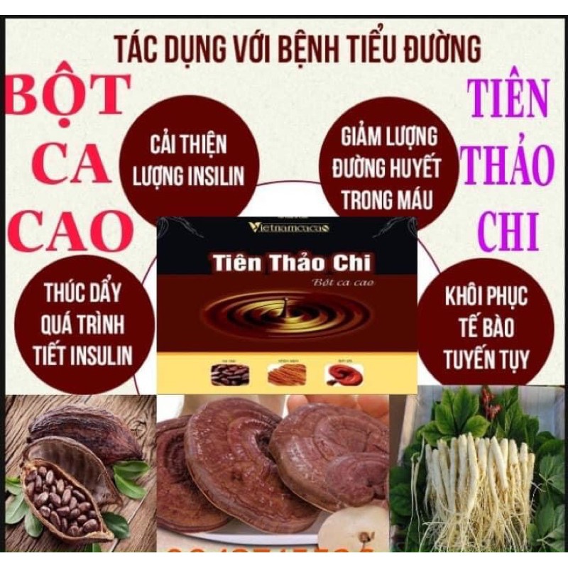 Tiên Thảo Chi - Ca Cao Nhân Sâm và Linh Chi.