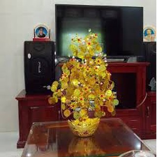 Cây vàng thỏi vàng