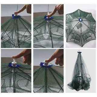Lưới bắt cá bát quái