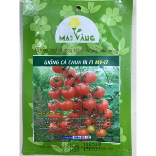 Hạt giống Cà chua bi 1g