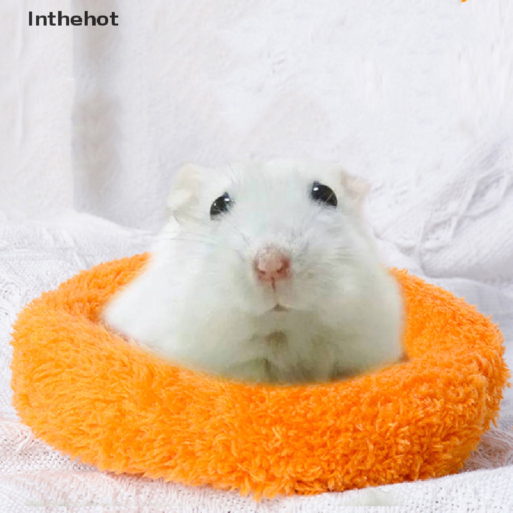 Thảm Cotton Giữ Ấm Cho Chuột hamster