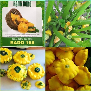 Hạt giống bí ngồi đĩa bay vàng Rạng Đông gói 1g
