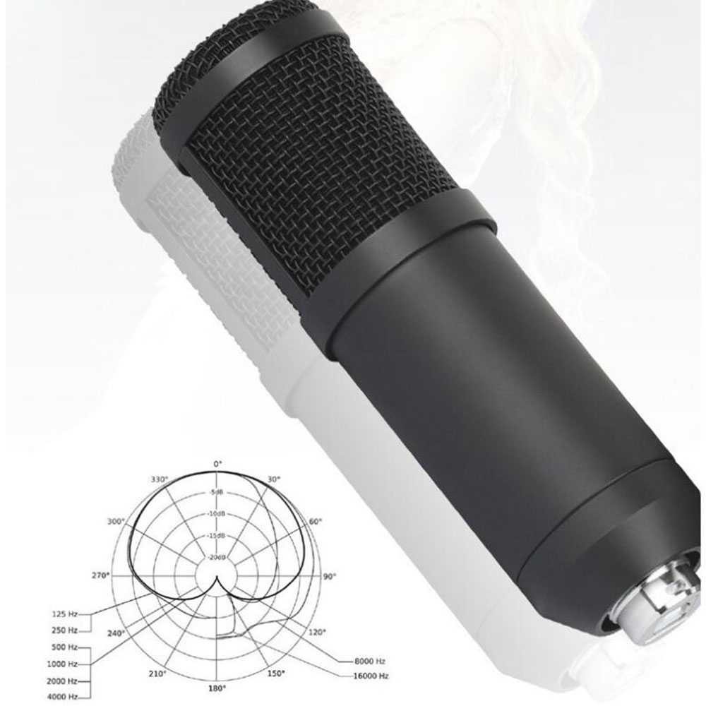 Micro Hát Karaoke Szkoston Bm-800