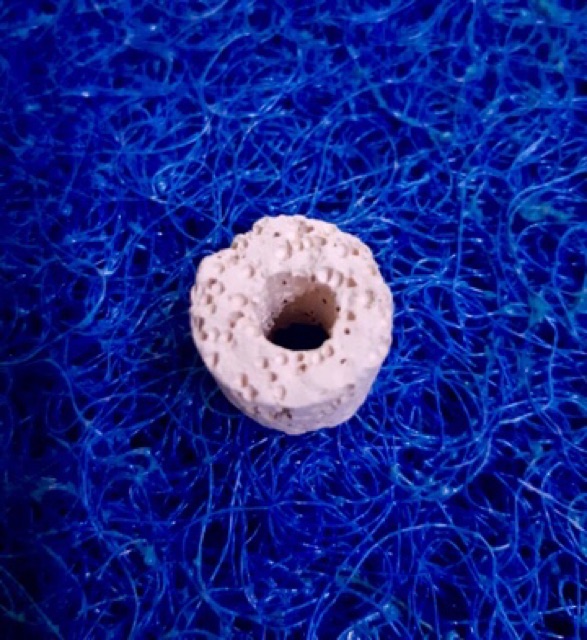 Sứ Viên Trắng Lọc Nước Hồ Cá 500gr