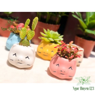 Chậu Sứ Trồng Cây- Mini size 8cm- chậu trồng Sen Đá, Xương Rồng