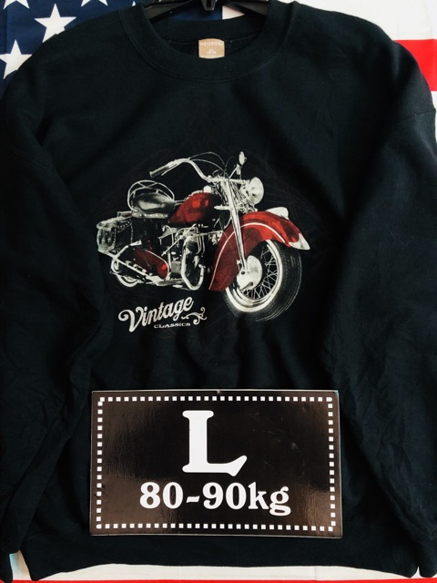 Áo sweater Mỹ thượng hạng | BigBuy360 - bigbuy360.vn