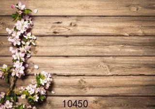 Thảm vải chụp ảnh