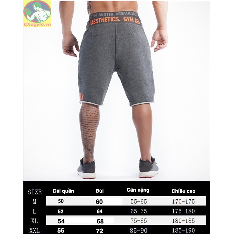 Quần Shorts Gym Aesthetics Cho Nam Nhập Khẩu Q-004