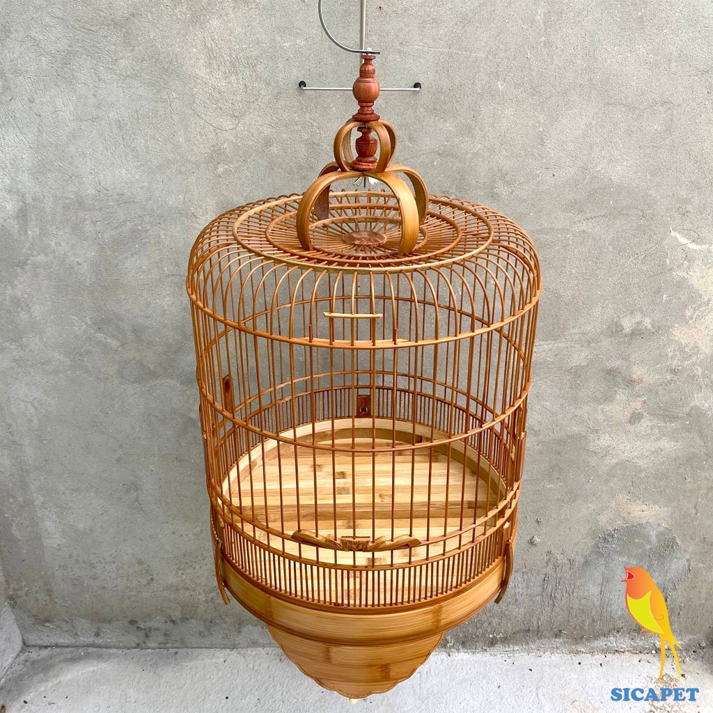 Lồng chim Khướu, chim Họa Mi, chim Chòe Than, chim Chào Mào, Lồng chim Chòe Than, Chim Chòe Lửa, Chim Chào Mào SICAPET